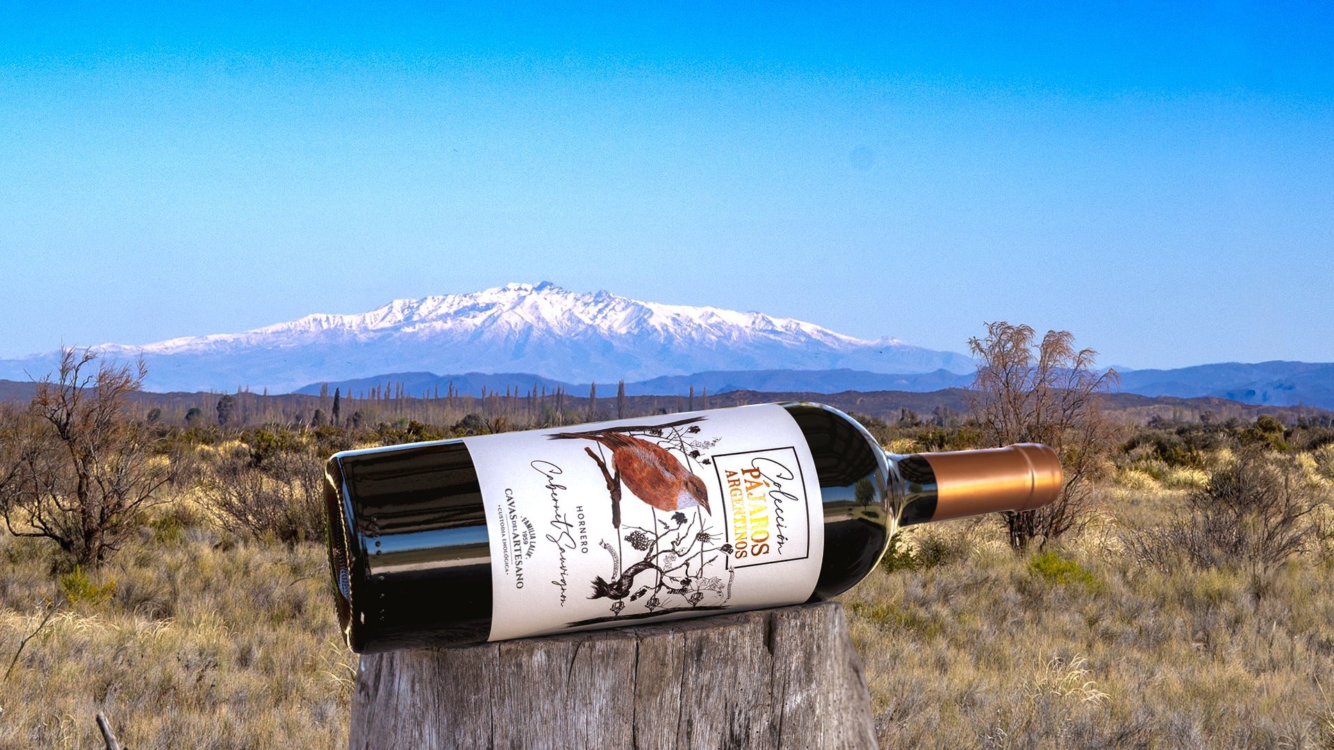 Vinho Arg. Tinto Folklore Malbec 2024